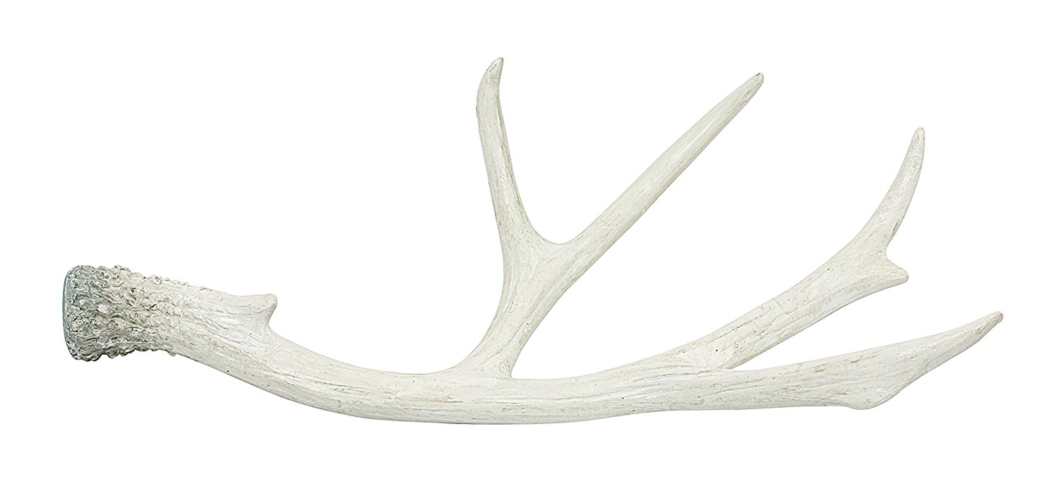 antler